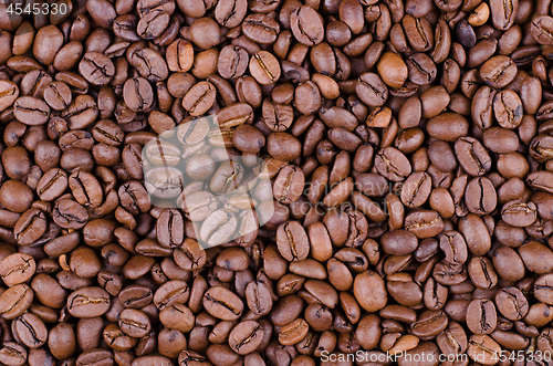 Image of Coffee beans