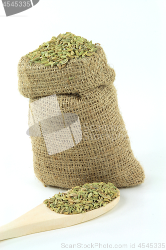 Image of Fennel seeds in burlap bag and over wooden spoon. 