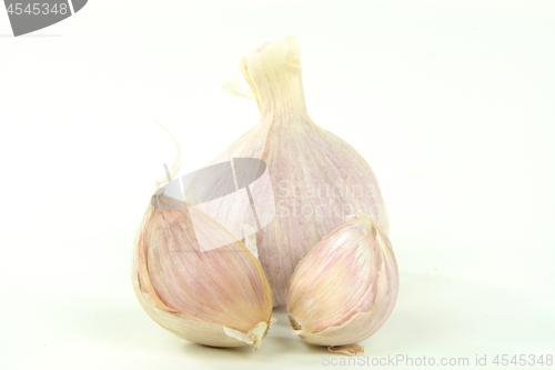 Image of Argentinean Garlic Bulb and cloves. 