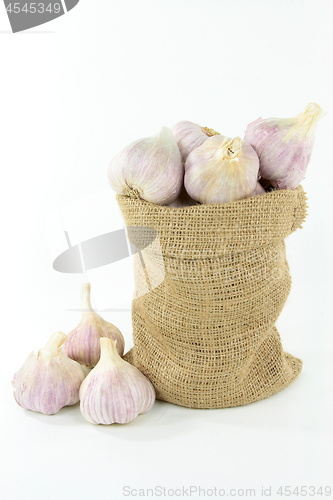 Image of Garlic in burlap bag. 