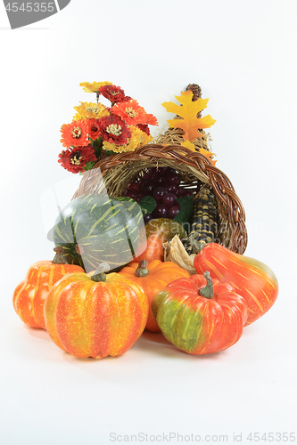 Image of Fall time of the year. 