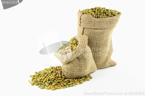 Image of Pumpkin seeds in burlap bags. 