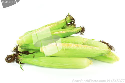 Image of Pile of Ears of corn. 