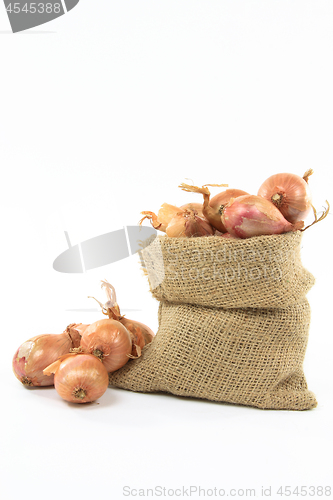 Image of French Shallots in burlap bag. 