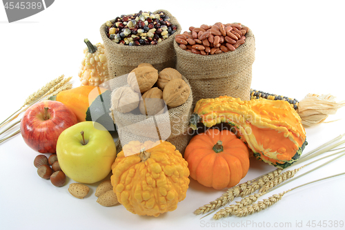 Image of Fall Fruits, Nuts and squashes. 