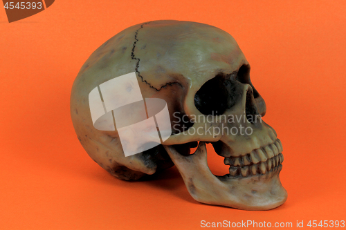 Image of Halloween prop. 