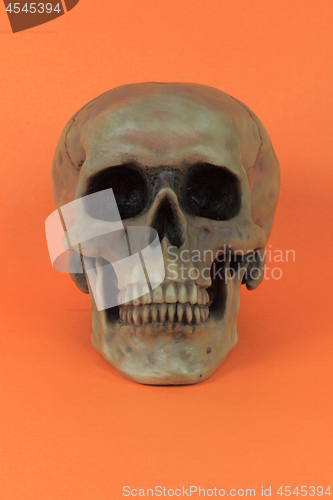 Image of Halloween prop - vertical. 