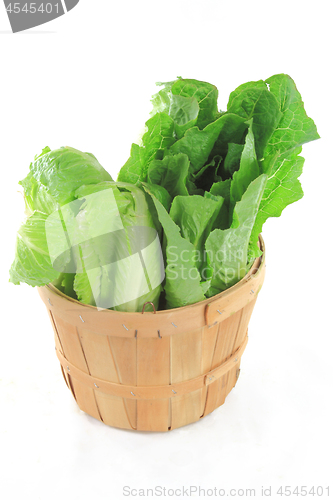 Image of Wodden Bushel full with green salads. 