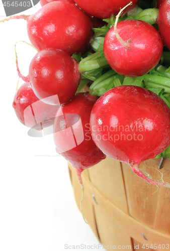 Image of Radishes in Wooden Bushel Basket. 