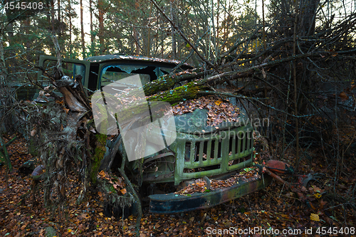 Image of Fallen tree on abandoned truck left outside