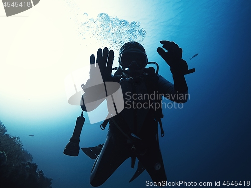 Image of Scuba diver descending to the bottom