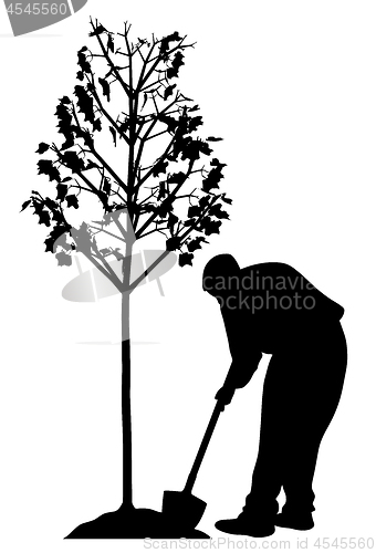 Image of Young man planting a tree
