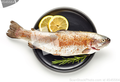 Image of fresh raw fish
