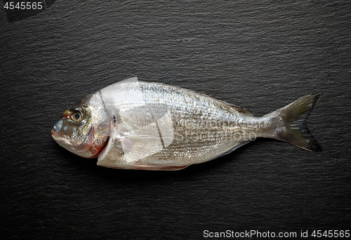 Image of fresh raw fish