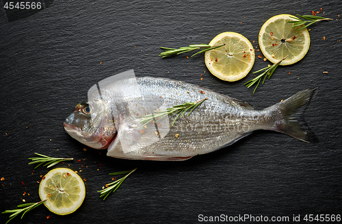 Image of fresh raw fish