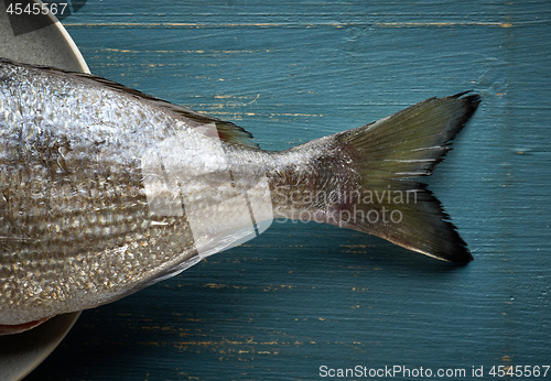 Image of fresh raw fish