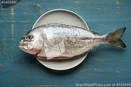 Image of fresh raw fish