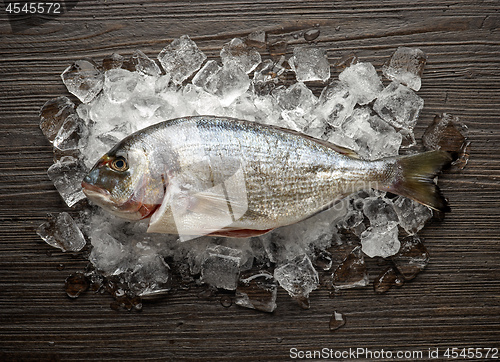 Image of fresh raw fish