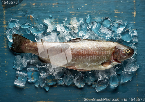 Image of fresh raw fish