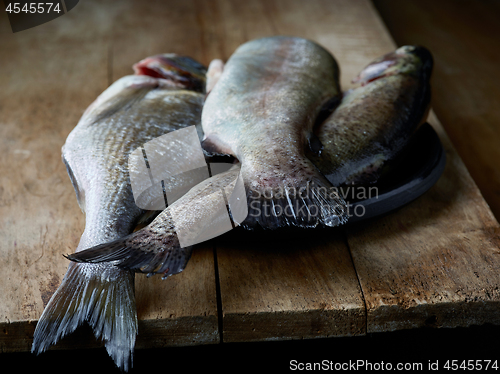 Image of fresh raw fishes