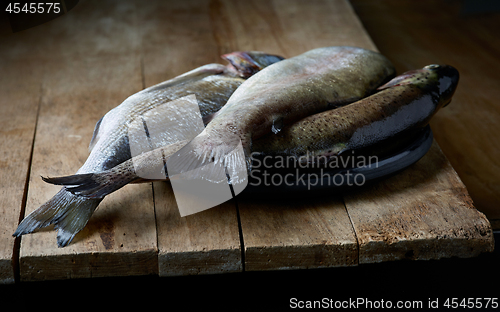 Image of fresh raw fishes