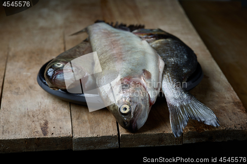 Image of fresh raw fishes