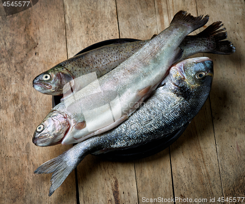 Image of fresh raw fishes