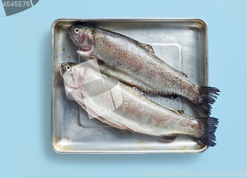 Image of two raw trout fishes