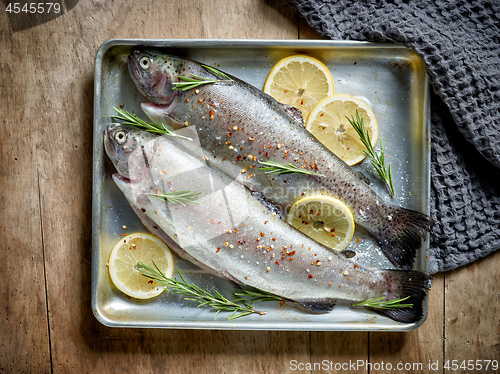 Image of two raw trout fishes