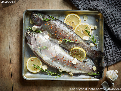 Image of two raw trout fishes