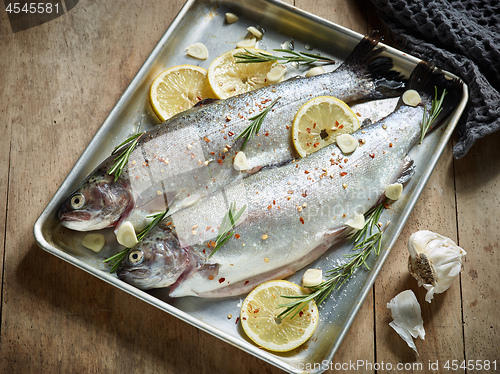 Image of two raw trout fishes