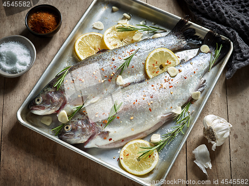 Image of two raw trout fishes