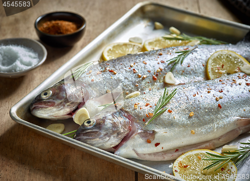 Image of two raw trout fishes