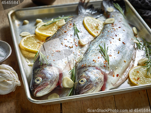 Image of two raw trout fishes