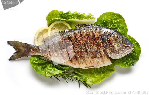 Image of grilled fish on green salad leaves 