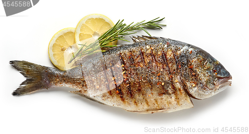 Image of grilled fish on white background