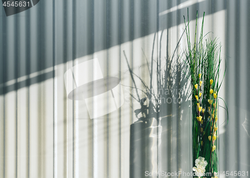 Image of Striped Room Wall And Floral Decor In The Sunlight - Template