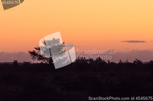 Image of Silhouettes in a landscape when morning just has broken