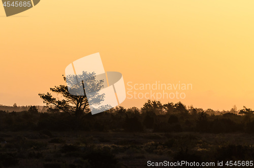 Image of Silhouettes in a landscape when morning  has broken