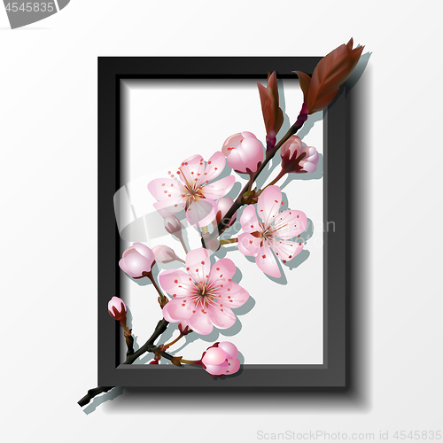 Image of Branch of pink sakura cherry flowers in frame