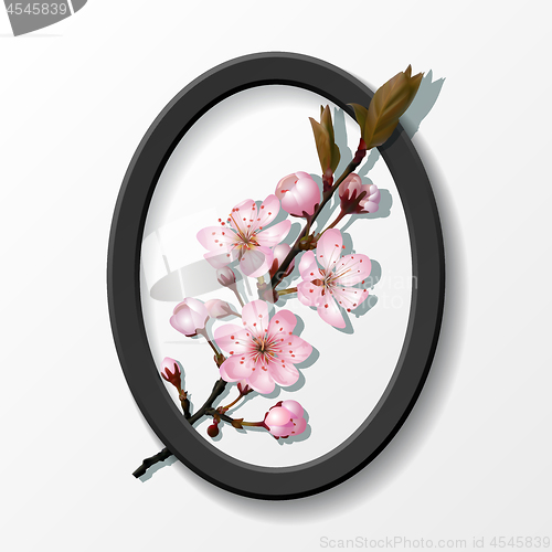 Image of Branch of pink sakura cherry flowers in frame