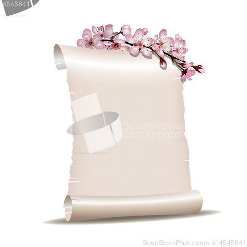 Image of Scroll blank paper with blossoming cherry branch
