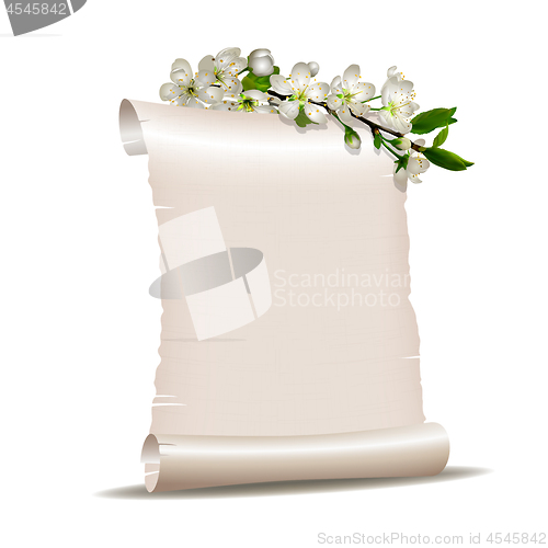 Image of Scroll blank paper with blossoming cherry branch