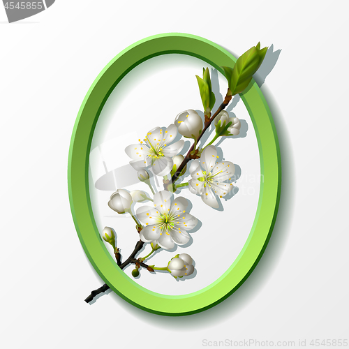 Image of Branch of white cherry flowers in green frame