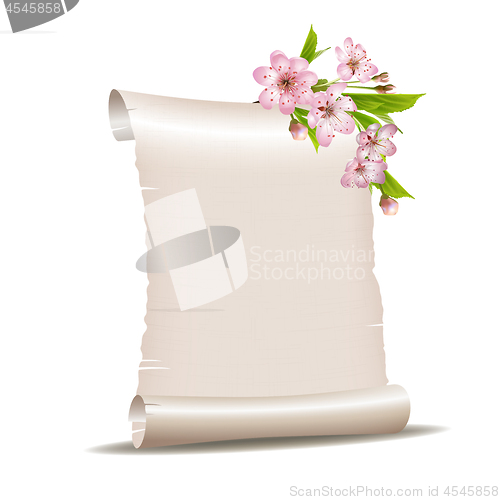 Image of Scroll blank paper with blossoming cherry branch