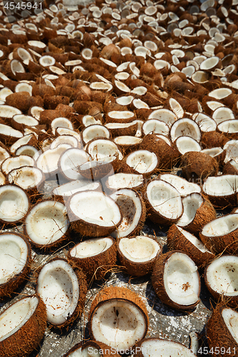 Image of Drying coconuts, Kerala, South India