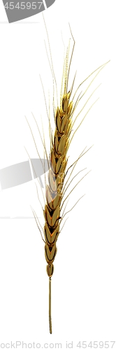 Image of Golden spikelet. 3d render