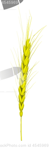 Image of Wheat ears spikelets with grains. 3d render