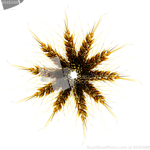 Image of Golden spikelet. Top view. 3d render