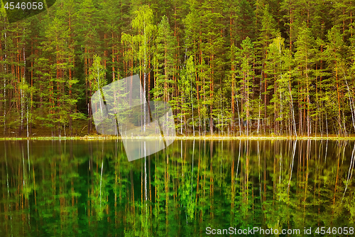 Image of Lake in the Forest